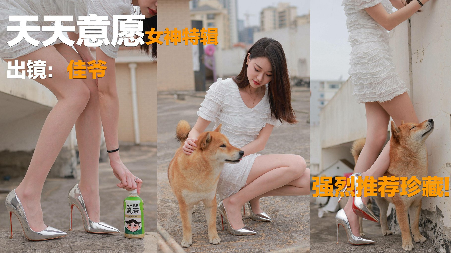 [IESS异思趣向] 2021.11.25 丝享家 979：佳爷《12月女神佳爷-特辑》